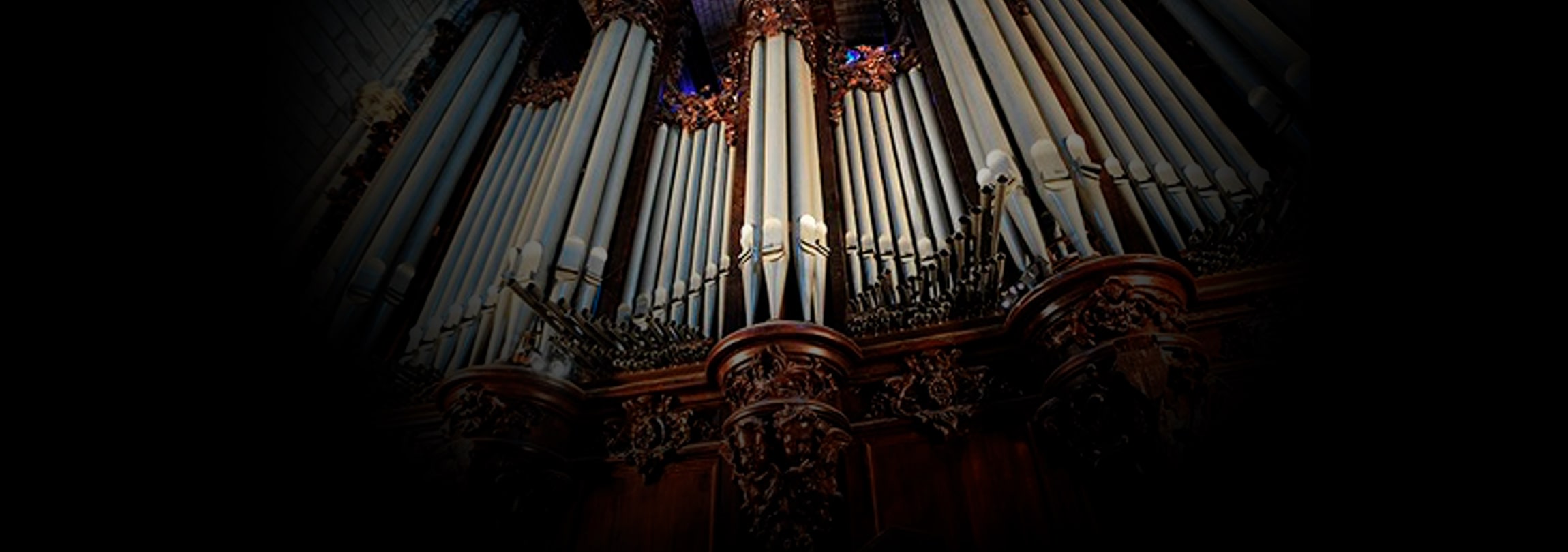 El Órgano de la catedral de Notre Dame - Caballeros de la Virgen