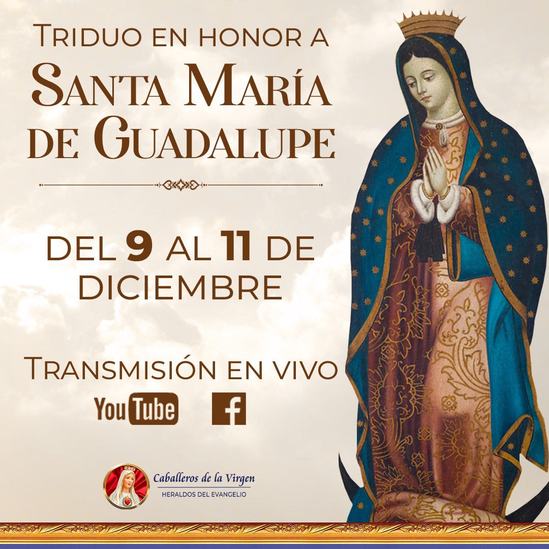 Basilica Di Nostra Signora Di Guadalupe A Gustavo A. Madero : 33 - Foto 7